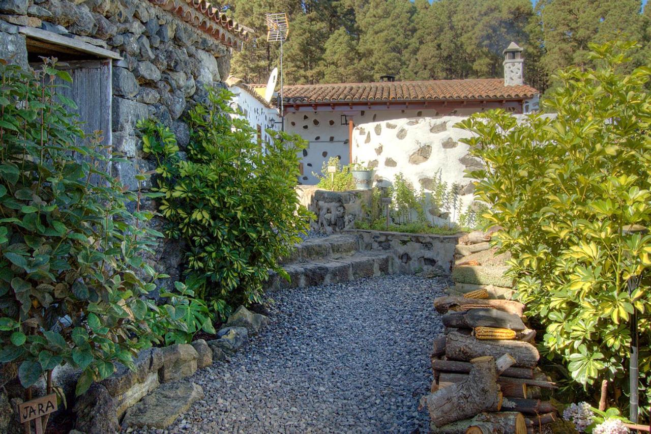 Holidaynorthtenerife Casa Rural Montiel Icod De Los Vinos Esterno foto